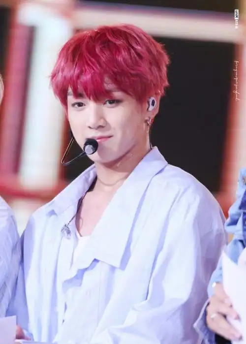 红发 田柾国 sbs台北演唱会