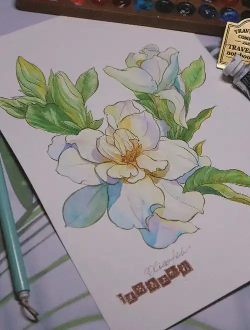 栀子花  #钢笔速写@筱菲的画