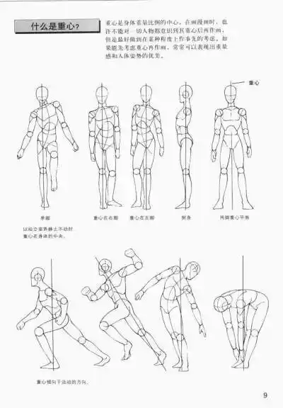 人体全身结构图.