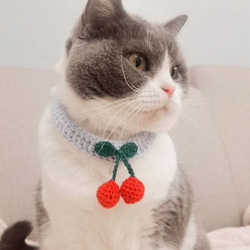 猫咪手工钩织毛线樱桃项圈狗狗针织项链宠物颈围拍照卖萌网红饰品