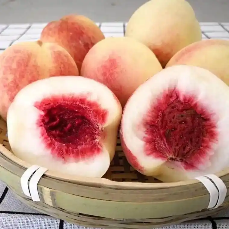 2022新鲜丹东河口秋白桃毛桃离核银白桃新鲜桃子特产果园现摘 - 抖音