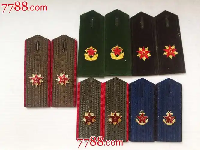 文职老肩章一组