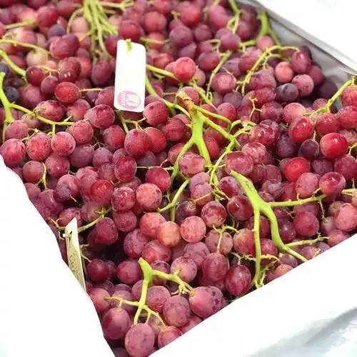 【甜蜜庆典】澳洲无籽红提(甜蜜庆典)无籽葡萄,入口甜肉质脆,汁水丰盈