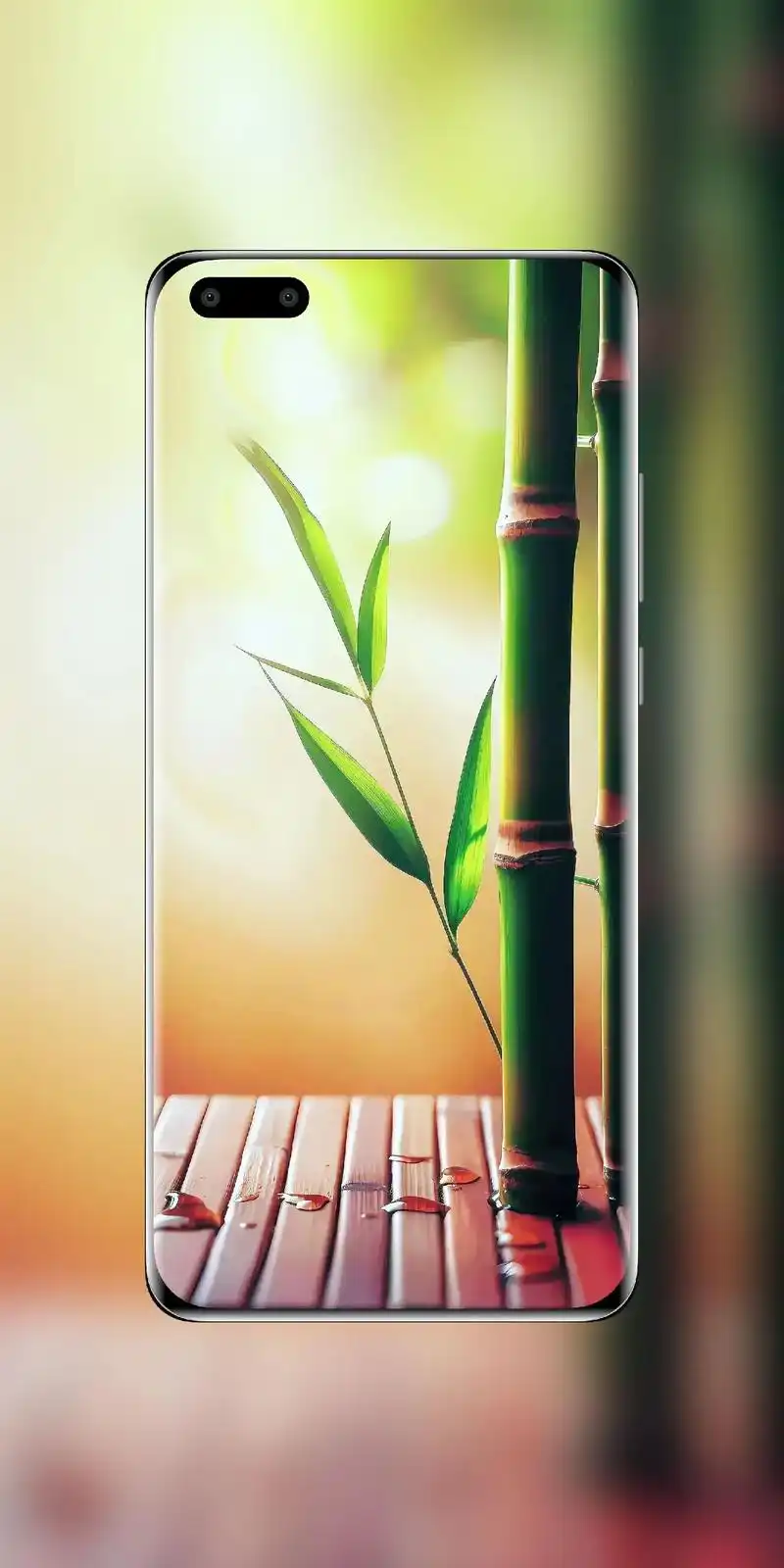 淡雅竹风起,萧瑟望红尘 #竹子#手机壁纸#古风 - 抖音