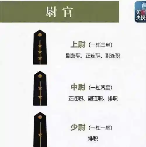 中国海军军衔管袖标识别图(怎样分别海军的级别)