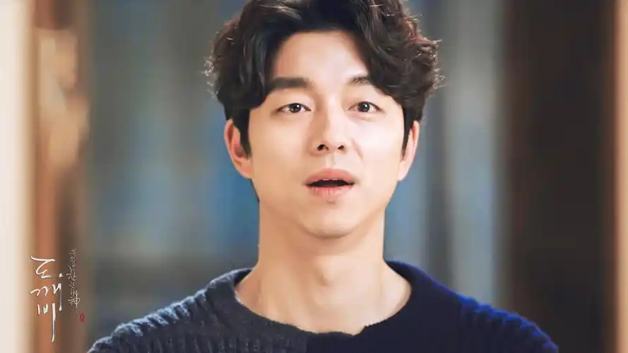 孔侑孔刘孤单又灿烂的神鬼怪韩剧明星风尚壁纸4