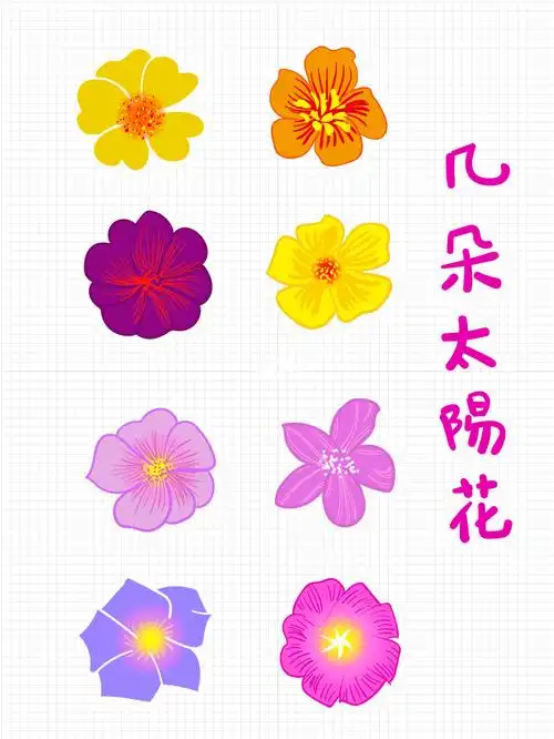 画一画太阳花 #简笔画   #画个简笔画   #画画的日常   #重瓣太阳花