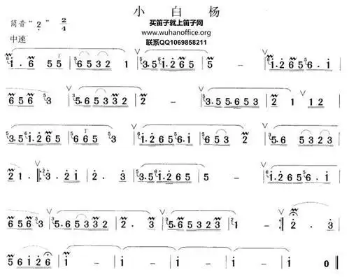 老司机带带我笛子简谱 (第1页)