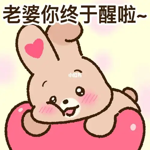 超好用的老婆奴表情包