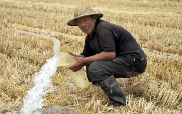 乡土散文:浇地杂忆(北方80后农村孩子的回忆)