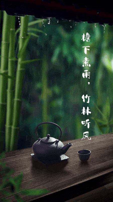 檐下煮雨竹林听风