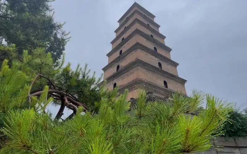 西安大雁塔#天下之大 与君同游