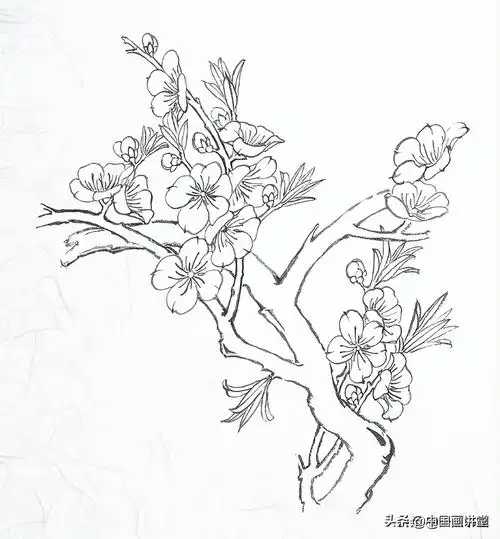 桃花树怎么画好看(教你简单易上手的桃花树画法)