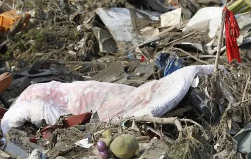 高清组图:日本重灾区照片公布