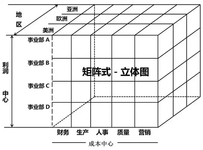3) 矩阵式组织结构下的hr定位