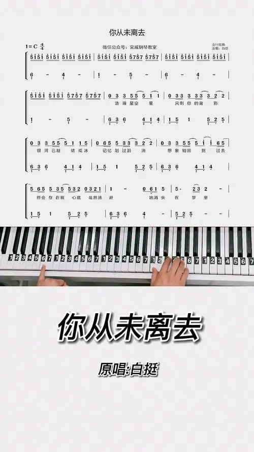 你从未离去钢琴教学零基础版双手钢琴简谱教程来咯完整版已搞定