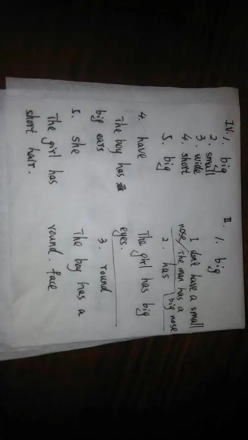 初中的英语作业