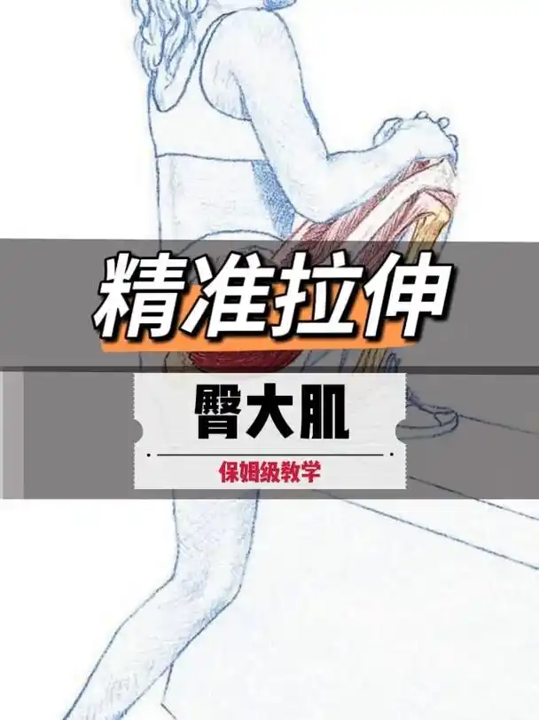 精准拉伸——臀大肌.对于动作幅度正常的人来说,臀大肌是没有什 - 抖