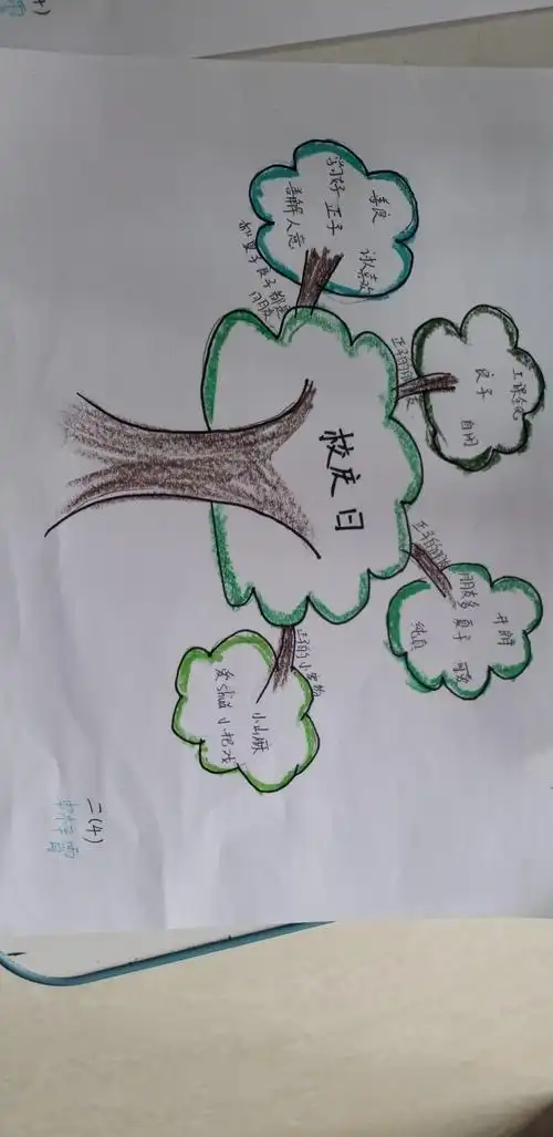 二年级的思维导图