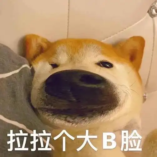 大家还有更多沙雕狗表情动图嘛