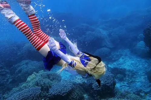 求这张图的高清