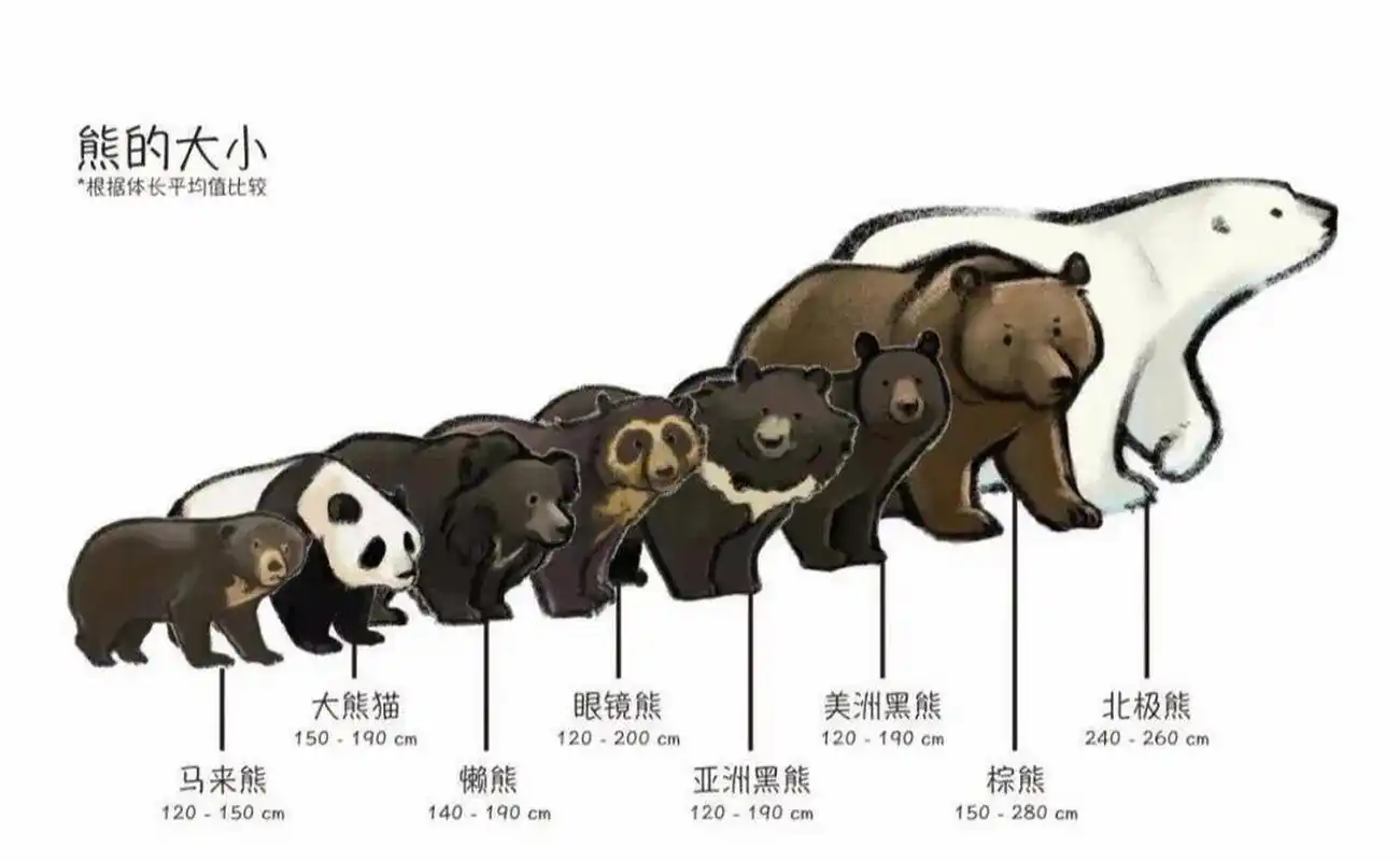 世界上主要有八种熊,知道哪种熊的数量最多吗?