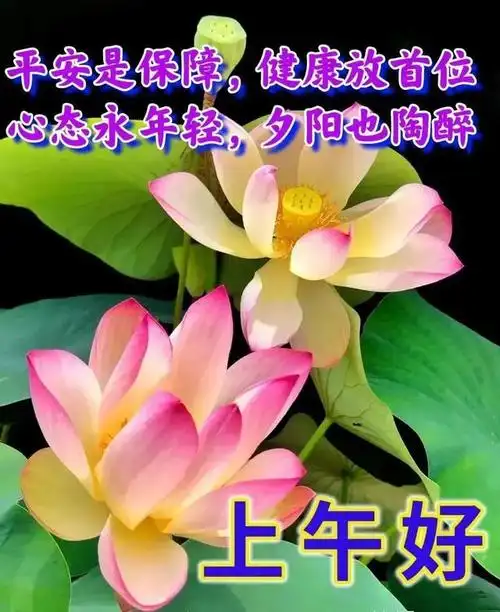 积极向上的正能量文案短句,真挚暖心的早上好问候祝福语动态图片