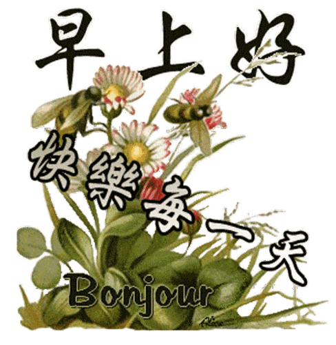 11月新版早上好动态图片带字,早安温馨问候语送给大家_祝福