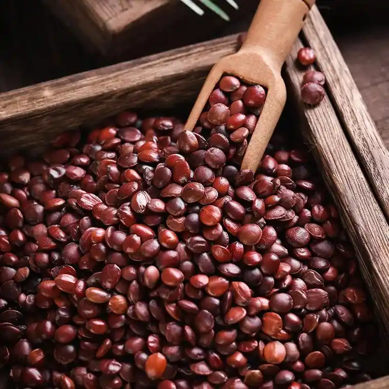 野生酸枣仁,口感酸甜,滋补养生.炒熟后更香脆可口,健康零负担 - 抖音