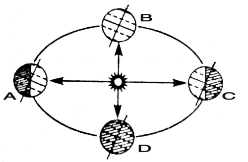 初一政史地 地球公转示意图 (共1页,当前第1页) 你可能喜欢 地球自转