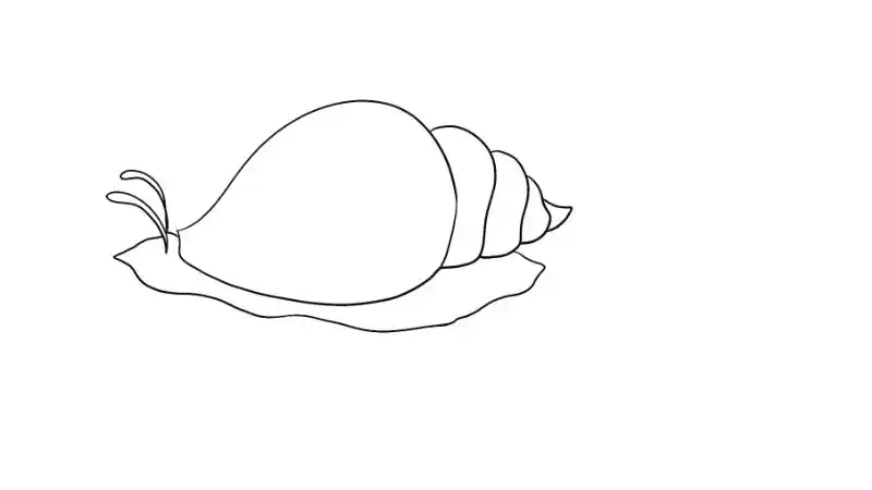 匍匐前进的螺蛳简笔画 匍匐前进的螺蛳简笔画怎么画-养娃家