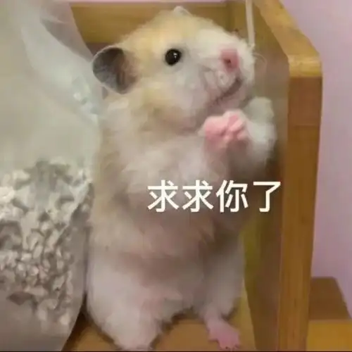 凑九图发一下小动物表情包