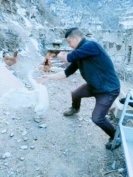 gif趣图集君君君整天刷抖音嫁时小鲜肉如今谢广坤