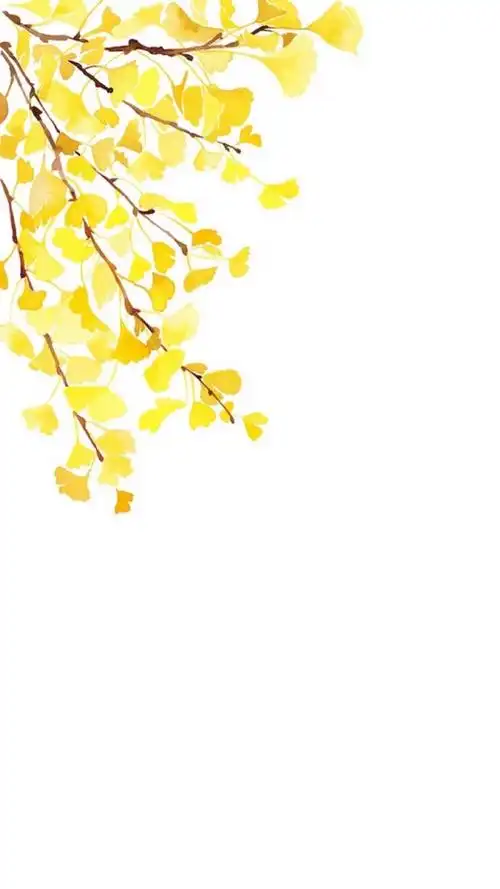 「遗失的心跳」——白底壁纸