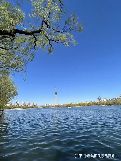 春风拂面阳光明媚风景秀丽