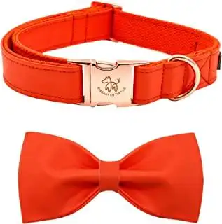 优雅的小尾巴皮革狗项圈带蝴蝶结 - 万圣节橙色狗狗蝴蝶结项圈高级