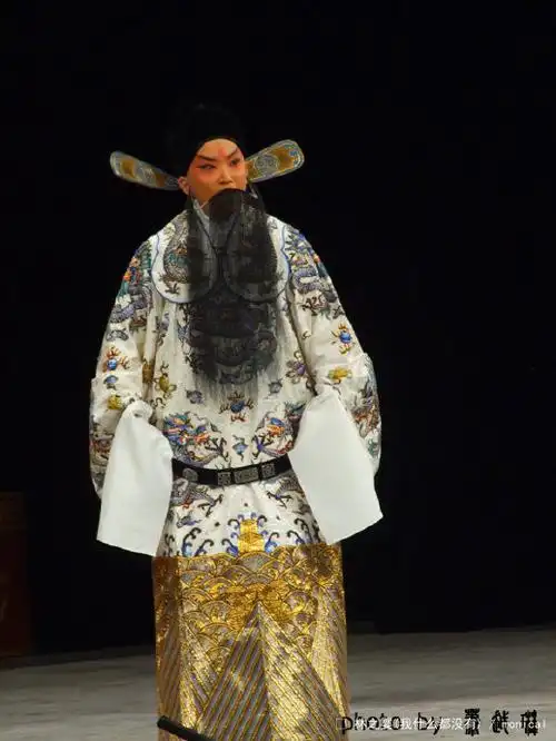 5.8京剧《穆桂英》 冯蕴 王珮瑜 (上海天蟾逸夫) (1)