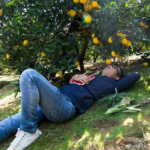 80后农村大哥悬赏找初恋,你见过如此痴情的男人吗_高清图集_新浪网