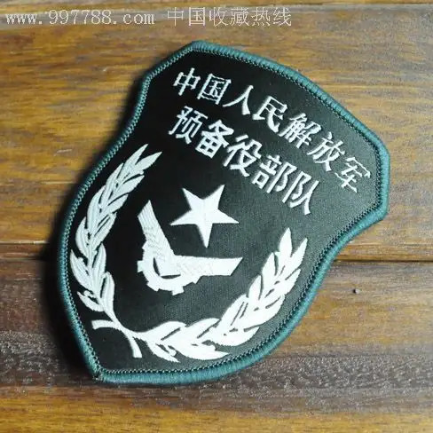 预备役07式领章是什么样的?