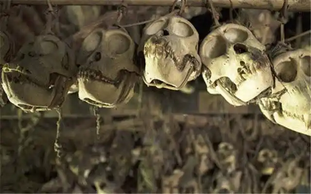 西游记恐怖细节,沙僧戴的骷髅项链竟是唐僧前世!