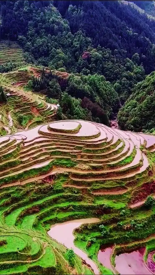 乡村生活贵州乡村加榜梯田风景优美大自然生态环境