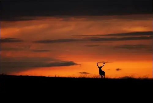 对等网 - 让照片"高大上"起来!浅谈摄影构图