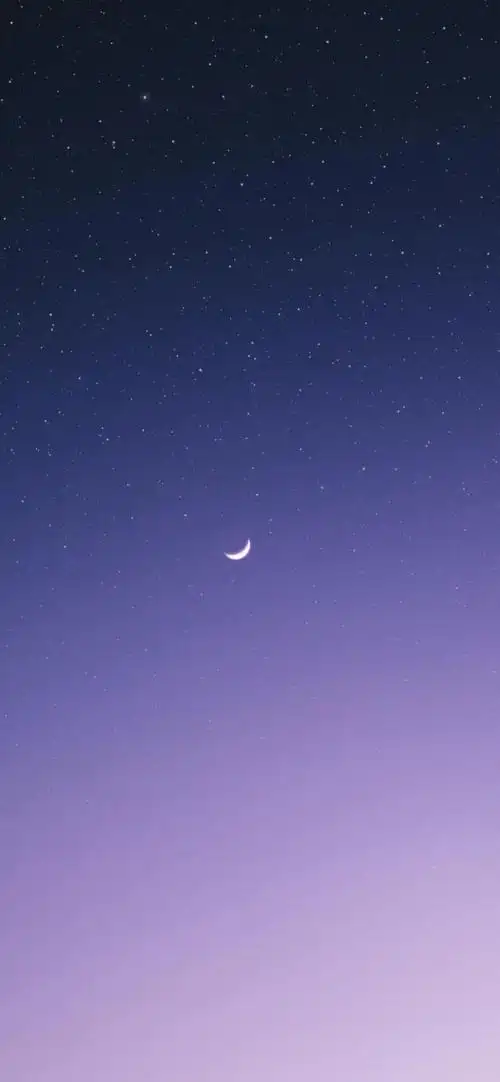 壁纸我喜欢你第一句是假的第二句也是假的