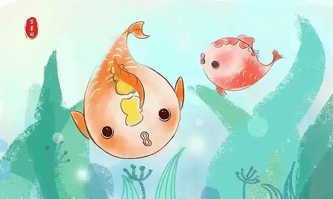 鲤鱼宝宝