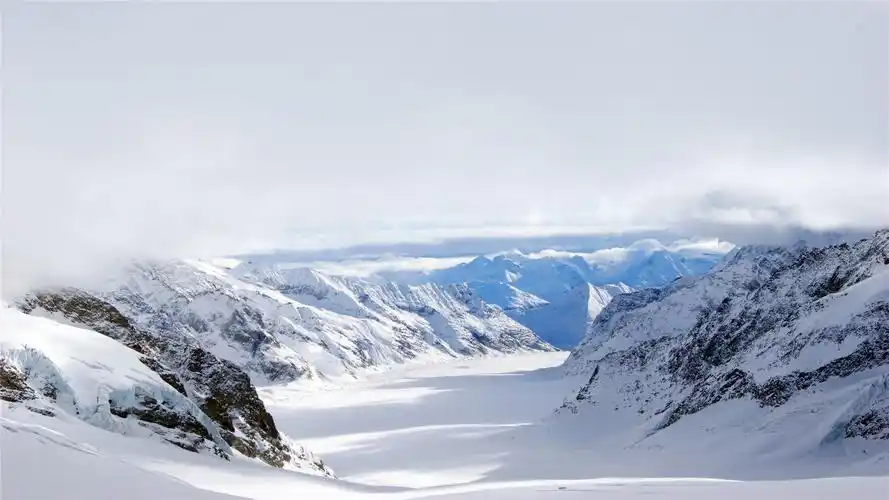 纯白雪景唯美高清桌面壁纸