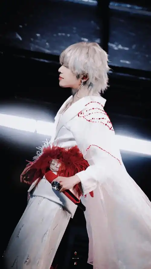 2024华晨宇火星演唱会