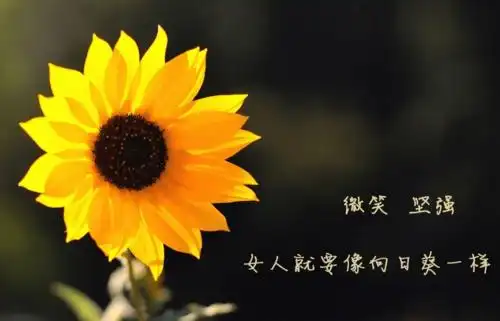 致自己的唯美句子短句