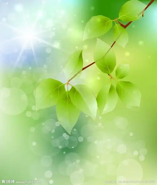 亮绿树叶背景设计图__背景素材_psd分层素材_设计图库_昵图网nipic.