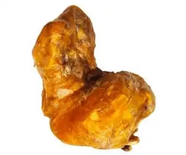 信阳鹅宝免费鉴定