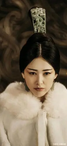 《大秦赋》赵姬衣服的颜色——写不尽的歌女风骚